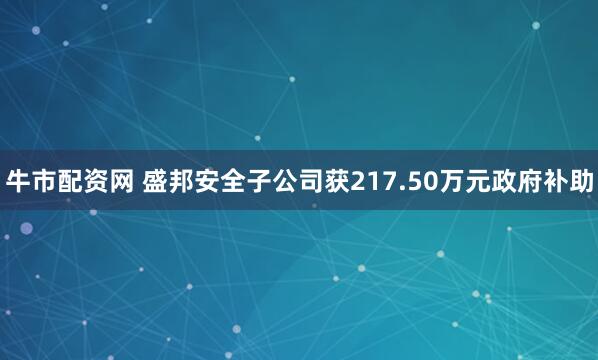 牛市配资网 盛邦安全子公司获217.50万元政府补助