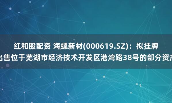 红和股配资 海螺新材(000619.SZ)：拟挂牌出售位于芜湖市经济技术开发区港湾路38号的部分资产